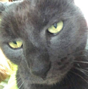 Meet your Posher, Olivia